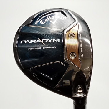 PARADYM FW その他カーボン