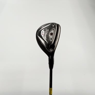 816H1 UT 21°  S200 Dynamic　Gold　AMT
