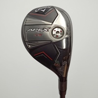 APEX UW (2023) 19 19° S TENSEI 70 for Callaway｜Alpen Online 公式