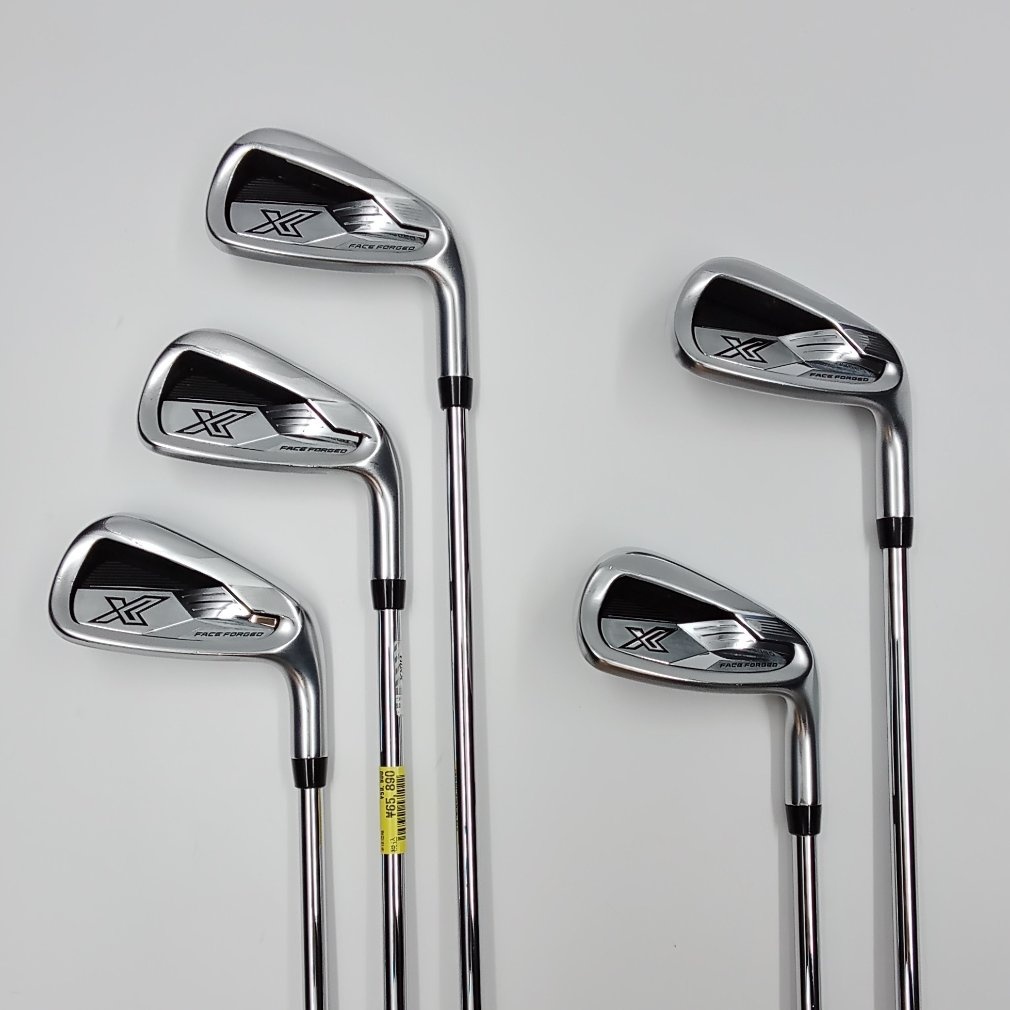XXIO X -eks- (2024) S200 Dynamic Gold 95｜Alpen Online 公式