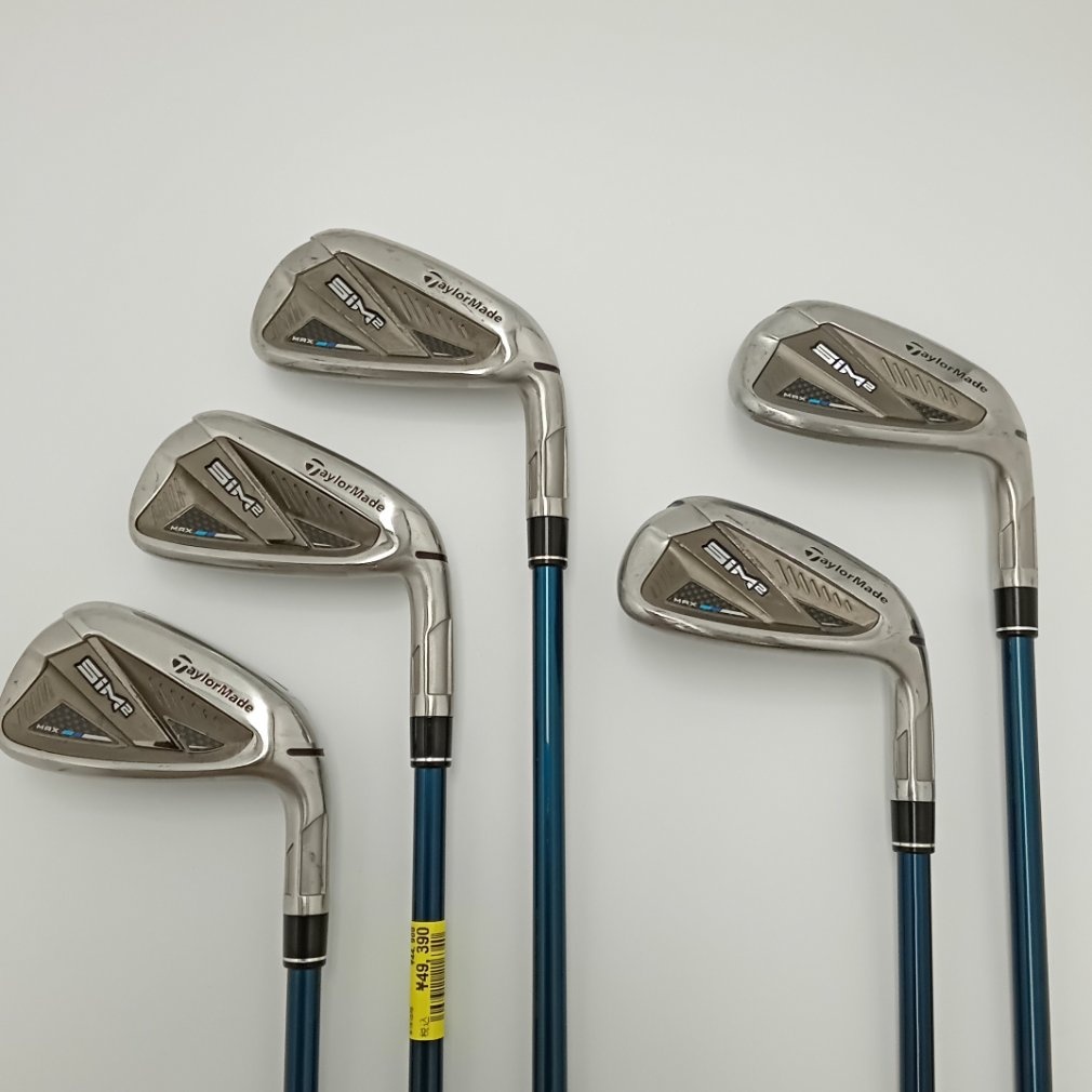 SIM2 MAX R TENSEI BLUE TM60｜Alpen Online アルペングループ公式