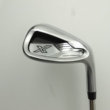 XXIO　X　-eks-　(2024) AW S200 Dynamic　Gold　95