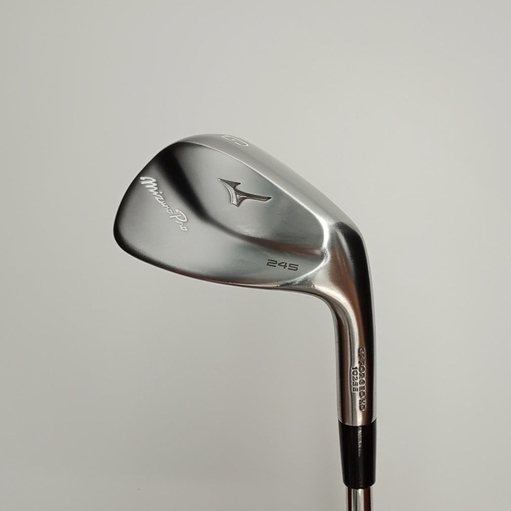 Mizuno Pro 245 単品I S200 Dynamic Gold 95｜Alpen Online 公式