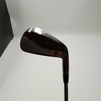 Mizuno Pro 241 単品I Dynamic Gold EX TOUR ISSUE[その他ｽﾁｰﾙ]｜Alpen