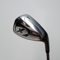 XXIO X -eks- (2024) AW S200 Dynamic Gold 95｜Alpen Online 公式