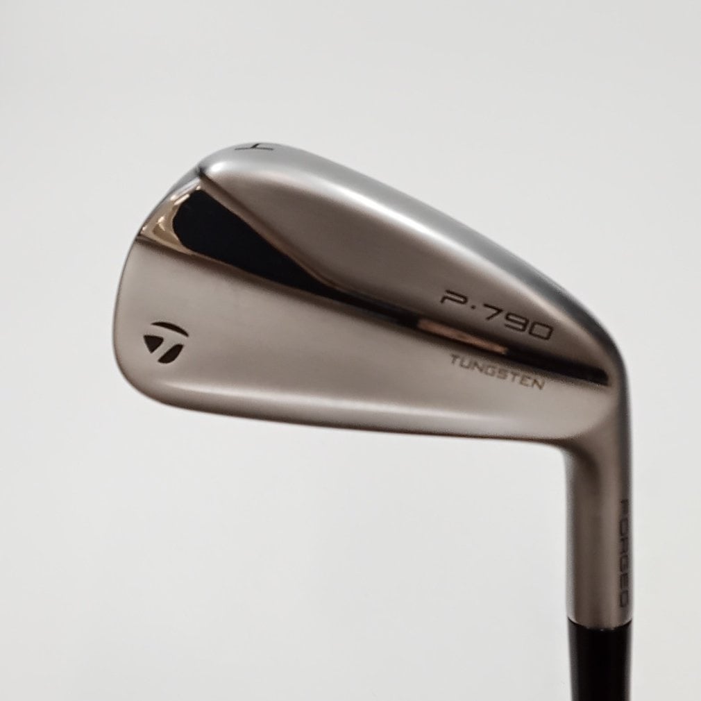 P790アイアンセット Dynamic Gold EX TOUR ISSUE P790 (2021) 単品I Dynamic Gold EX TOUR ISSUE[その他ｽﾁｰﾙ]｜Alpen