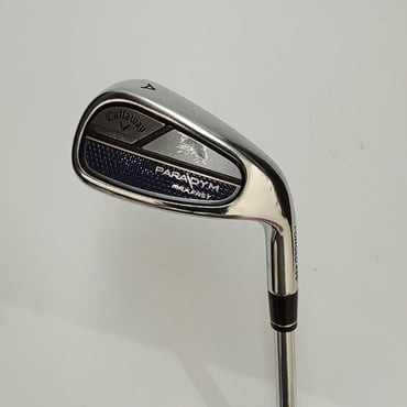 PARADYM　MAX　FAST 単品I S N.S.PRO　850GH　neo