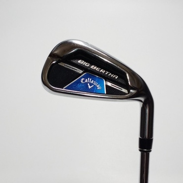 BIG　BERTHA　B21 単品I S N.S.PRO　ZELOS　7