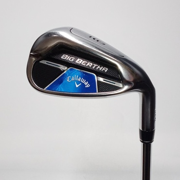 BIG　BERTHA　B21 単品I S N.S.PRO　ZELOS　7