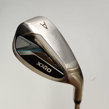 XXIO　14 AW R N.S.PRO　850GH　neo　DST