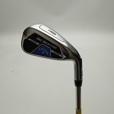 BIG　BERTHA　B21 7I S N.S.PRO　ZELOS　7