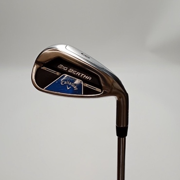 BIG　BERTHA　B21 8I S N.S.PRO　ZELOS　7