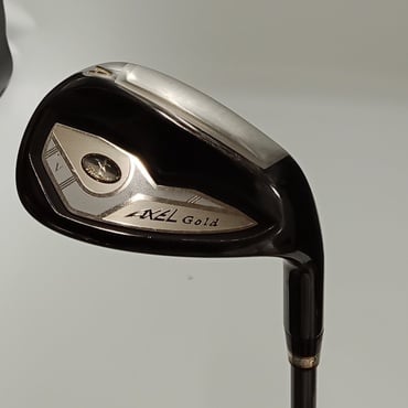 AXEL　Gold　Premium　Ⅴ AW R AXEL　GOLD　5　CARBON