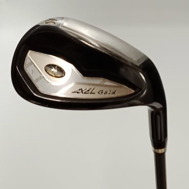 AXEL　Gold　Premium　Ⅴ AS R AXEL　GOLD　5　CARBON