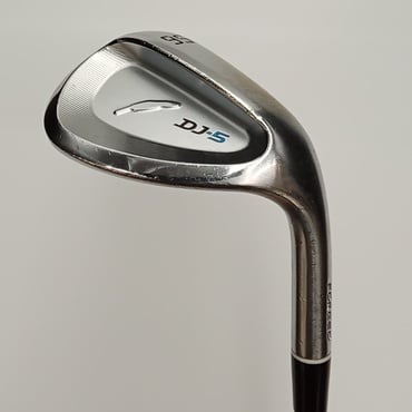 DJ-5 WG 56°  8°  N.S.PRO　TS-114W
