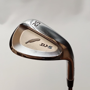 DJ-5 WG 52°  6°  N.S.PRO　TS-114W