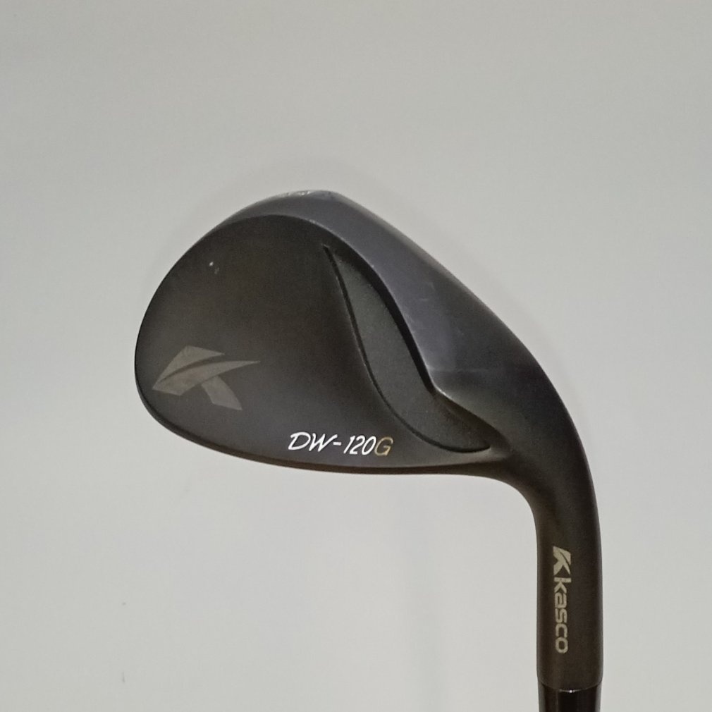 Dolphin Wedge DW-120G BLK ウェッジ Dynamic Gold[その他ｽﾁｰﾙ]｜Alpen