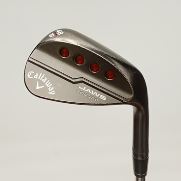 JAWS　FORGED　ツアーグレー WG 48°  10°  S200 Dynamic　Gold