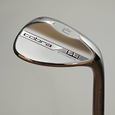 SNAKEBITE　クローム ウェッジ その他スチール