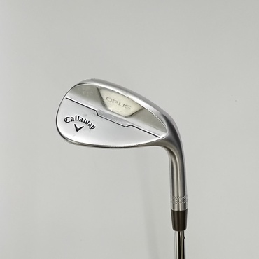 OPUS　クロム WG 48S°  10°  S200 Dynamic　Gold