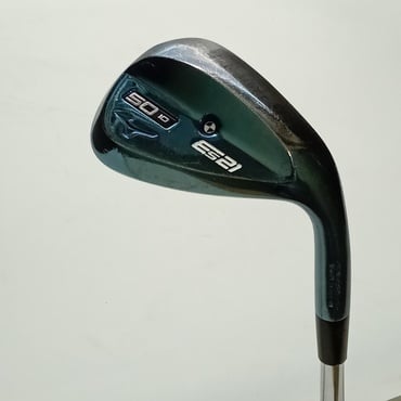 Es　21　ブルーIP WG 50°  10°  WEDGE Dynamic　Gold　120