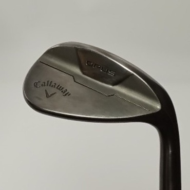 OPUS　ブラック WG 48S°  10°  S200 Dynamic　Gold