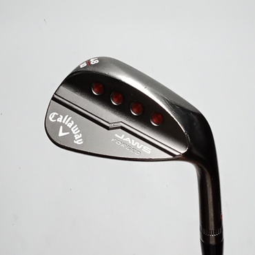 JAWS　FORGED　ツアーグレー WG 48°  10°  S200 Dynamic　Gold