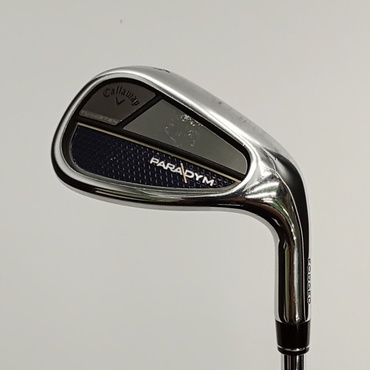 PARADYM AW S N.S.PRO　950GH　neo