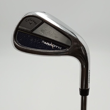 PARADYM AW 42°  S200 Dynamic Gold 105