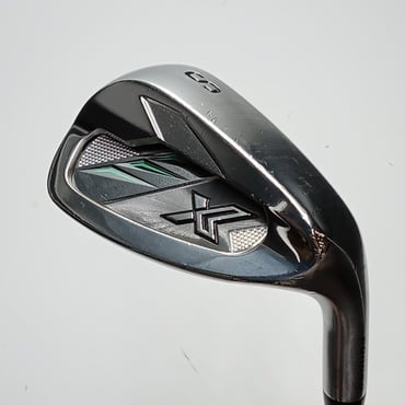 XXIO　X　-eks-　(2022) SW R N.S.PRO　950GH　neo　DST