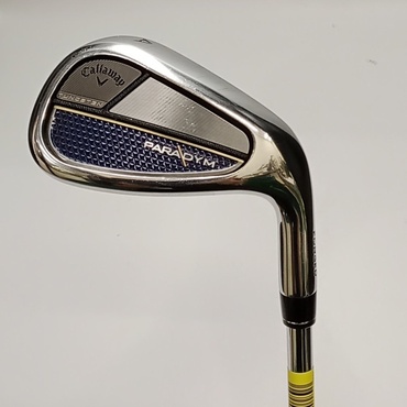 PARADYM AW S N.S.PRO　950GH　neo
