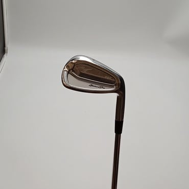 Mizuno　Pro　520 PW 46°  S Dynamic Gold120 S200
