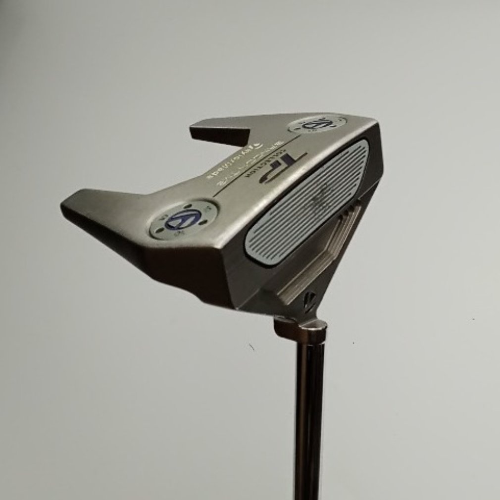 TP COLLECTION ﾊｲﾄﾞﾛﾌﾞﾗｽﾄ BANDON TM2 ﾄﾗｽｾﾝﾀｰ (2021) 34｜Alpen