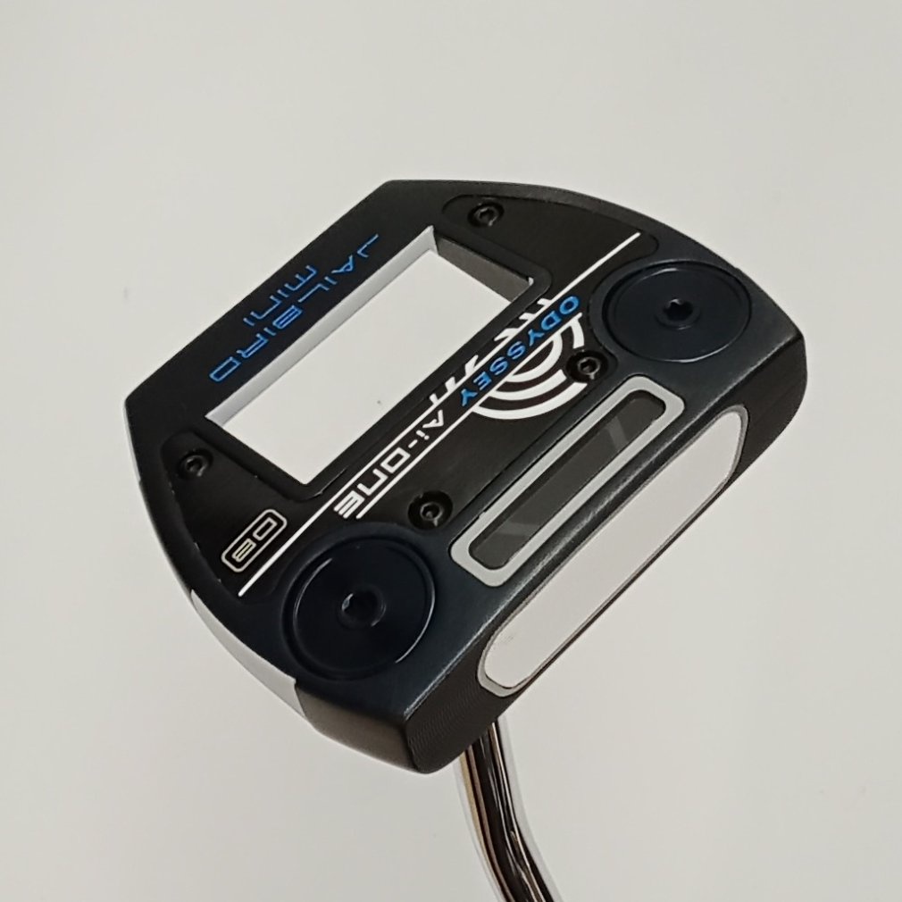 Ai-ONE JAILBIRD MINI DB STROKE LAB 34｜Alpen Online アルペン