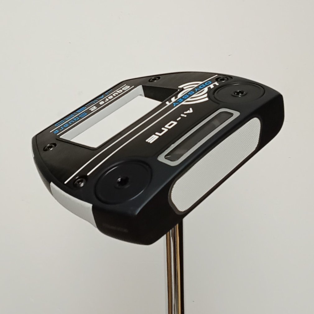 Ai-ONE Square 2 Square JAILBIRD STROKE LAB 33｜Alpen Online