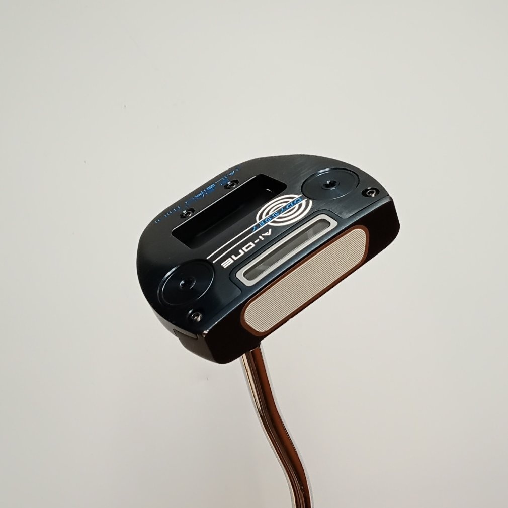 Ai-ONE 2-BALL JAILBIRD mini STROKE LAB 33｜Alpen Online 公式