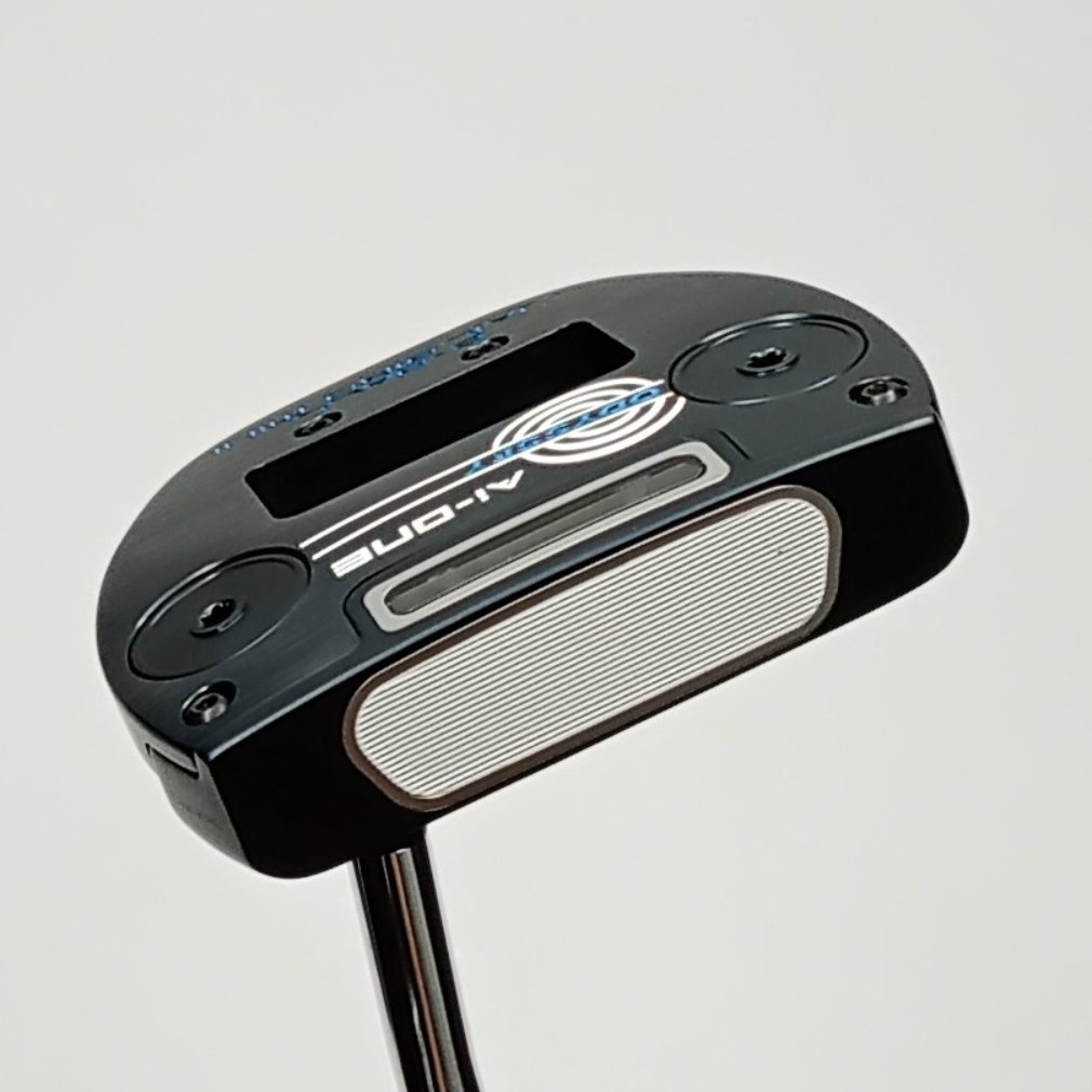 Ai-ONE 2-BALL JAILBIRD mini STROKE LAB 34｜Alpen Online アルペン