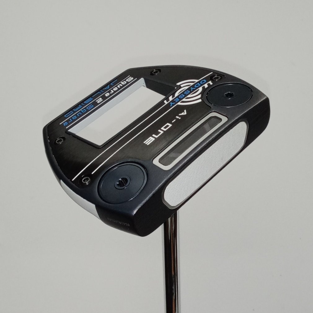 Ai-ONE Square 2 Square JAILBIRD STROKE LAB 33｜Alpen Online