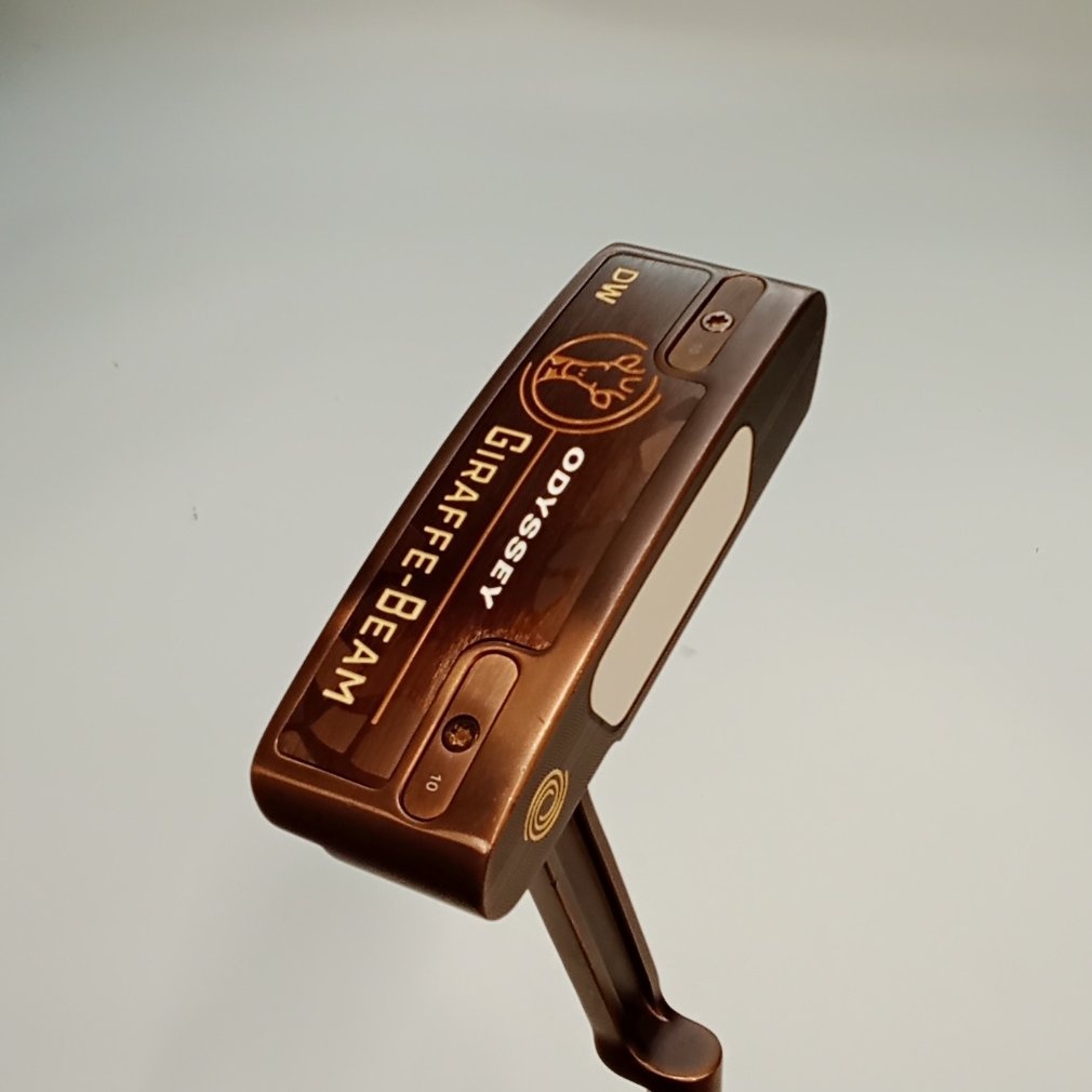 GIRAFFE-BEAM DW STROKE LAB 34｜Alpen Online