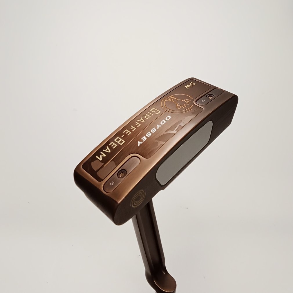 GIRAFFE-BEAM DW STROKE LAB 33｜Alpen Online