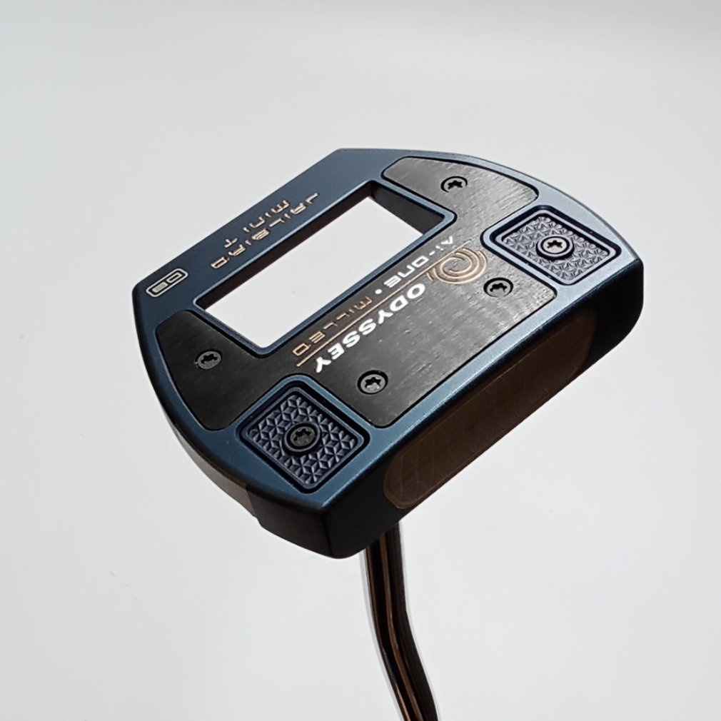 Ai-ONE MILLED JAILBIRD mini T STROKE LAB 34｜Alpen Online