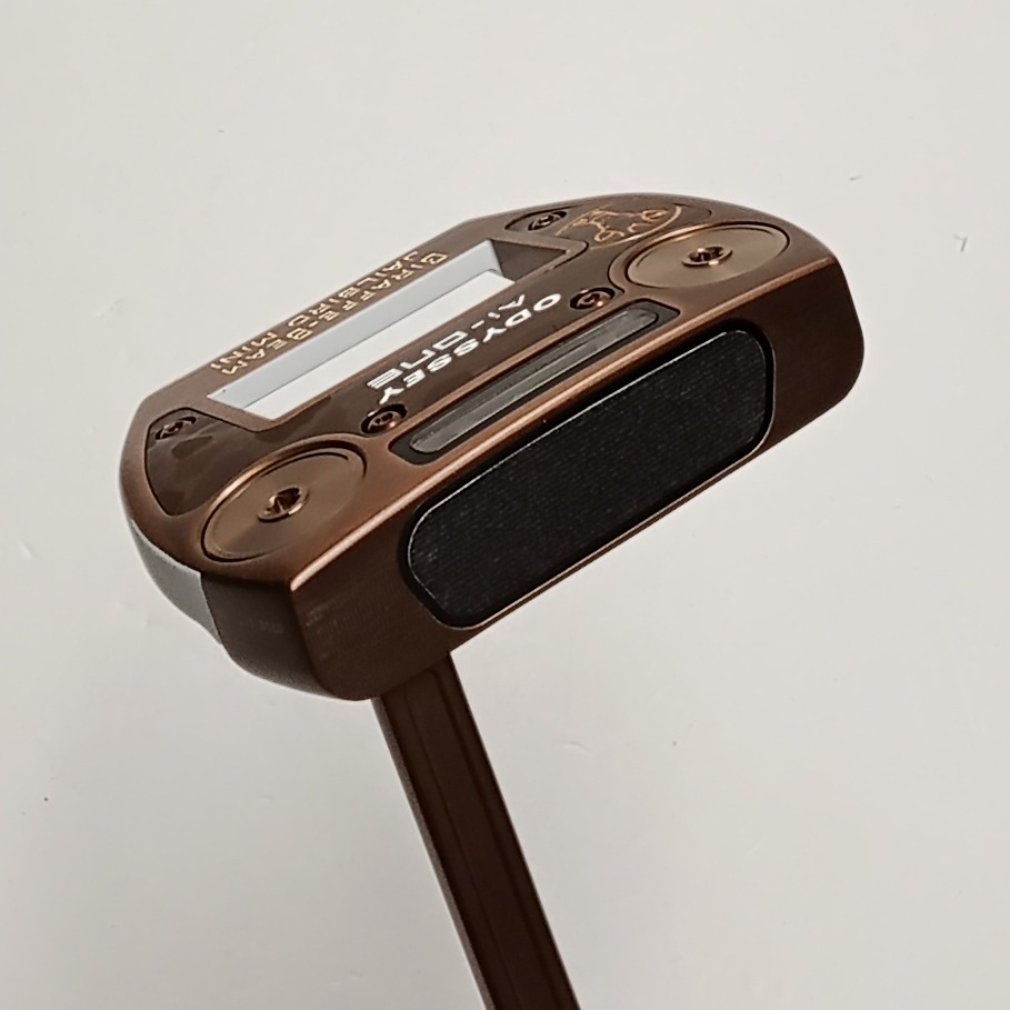 Ai-ONE GIRAFFE-BEAM JAILBIRD MINI STROKE LAB 33｜Alpen Online 公式 