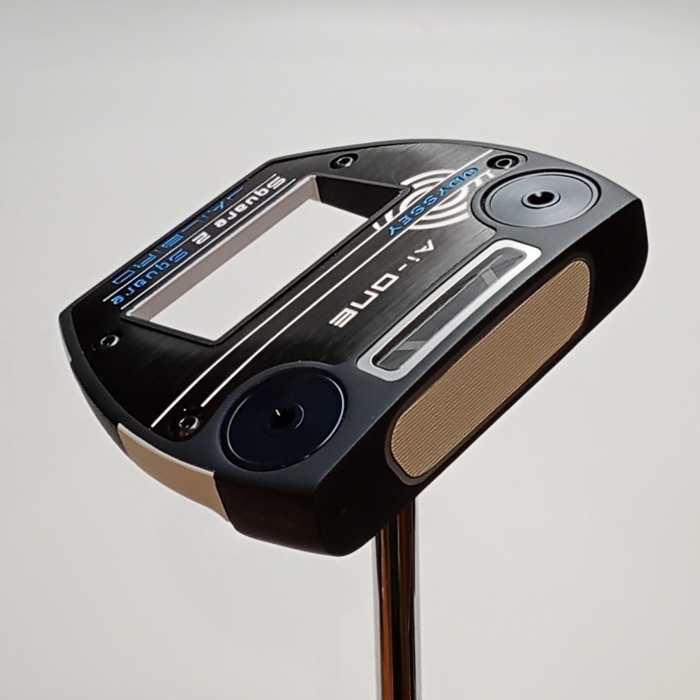 Ai-ONE Square 2 Square JAILBIRD STROKE LAB 34｜Alpen Online 公式