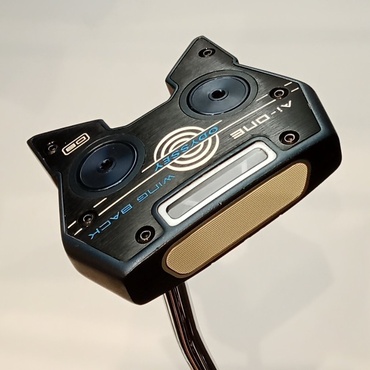 Ai-ONE　WING　BACK　STROKE　LAB 34