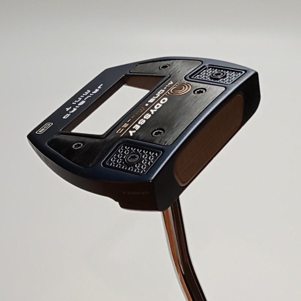 Ai-ONE MILLED JAILBIRD mini T VERSA90 DB STROKELAB 34｜Alpen