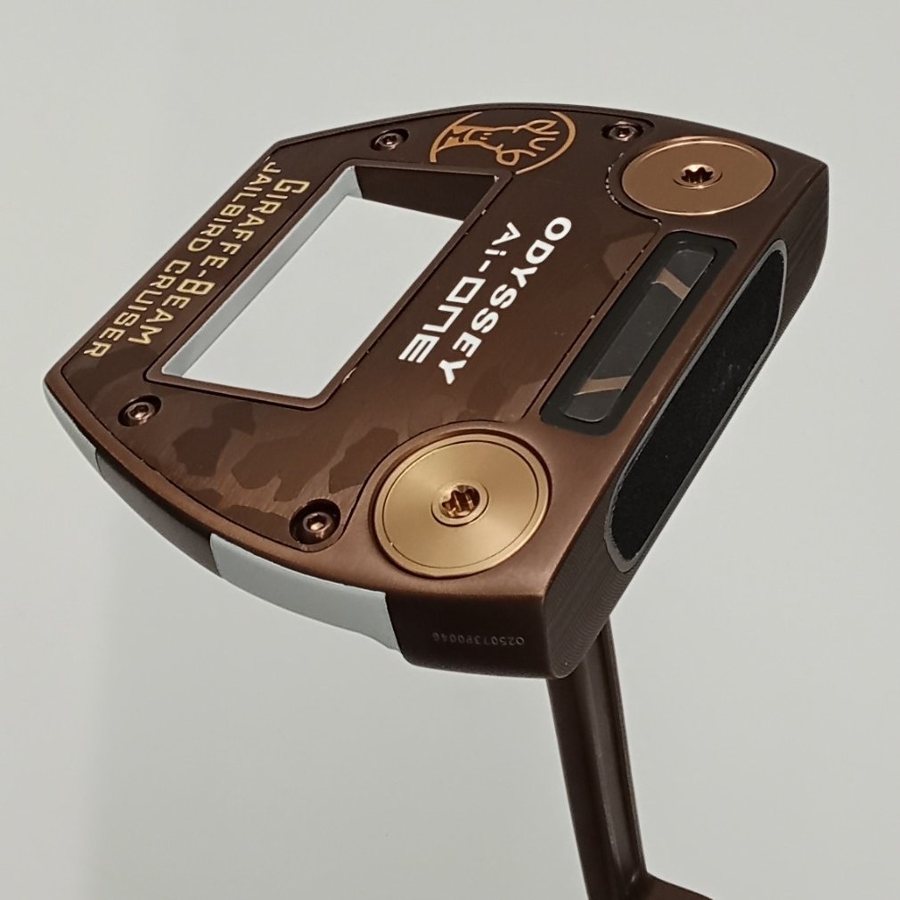 Ai-ONE GIRAFFE-BEAM JAILBIRD CRUISER STROKE LAB 38｜Alpen Online 