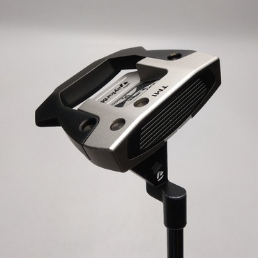 SPIDER　GTX　デューンシルバー　TM1　トラスヒール 33