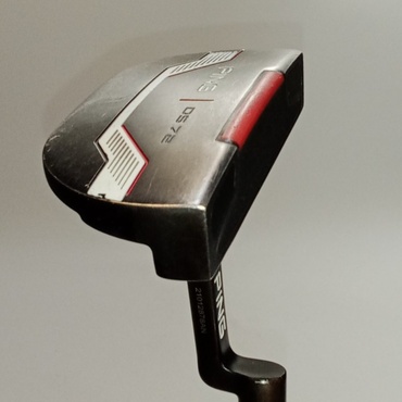 DS　72　(2021) 33