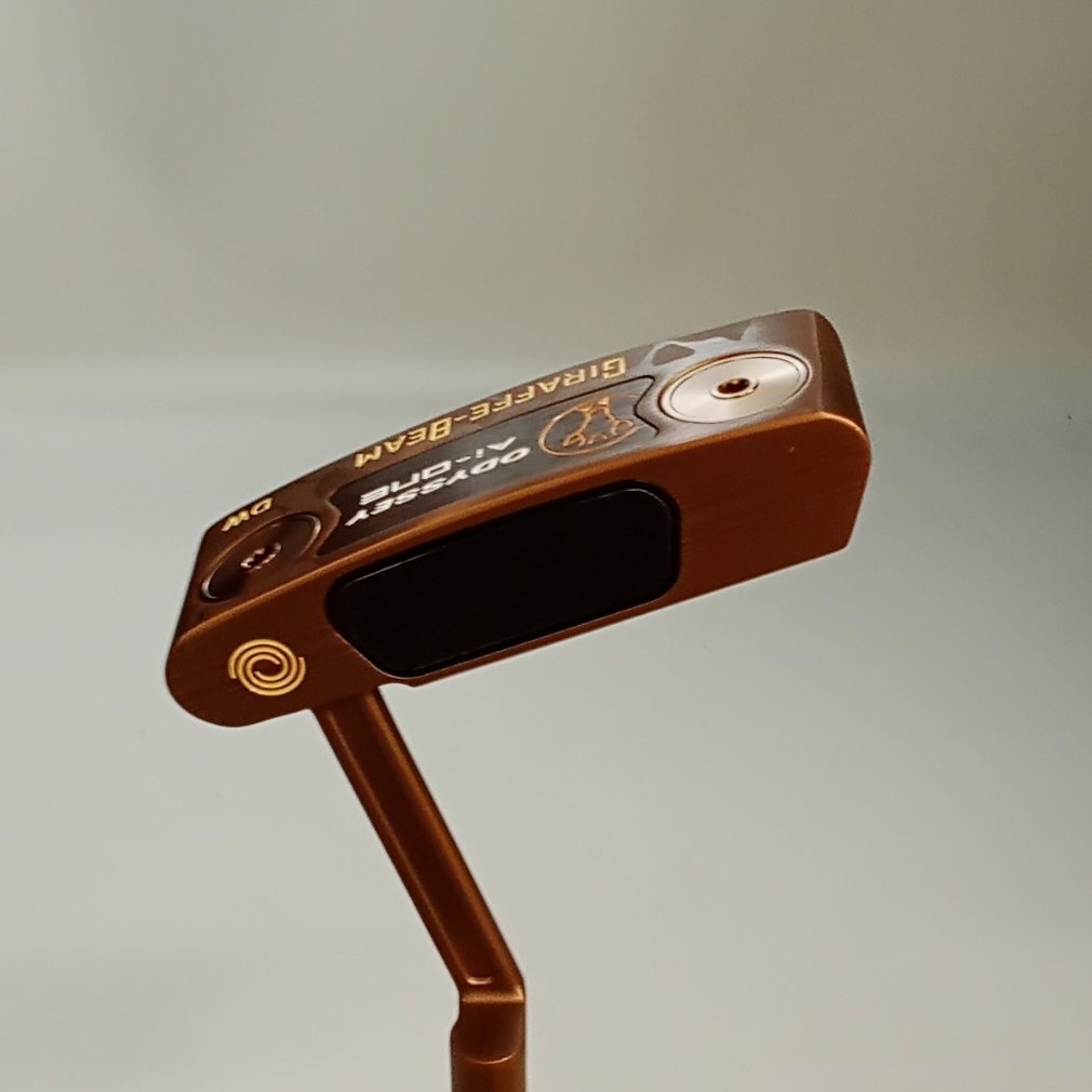Ai-ONE GIRAFFE-BEAM DW STROKE LAB 34｜Alpen Online 公式オンライン