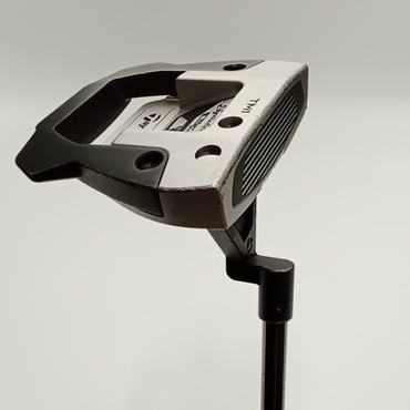 SPIDER　GTX　デューンシルバー　TM1　トラスヒール 34